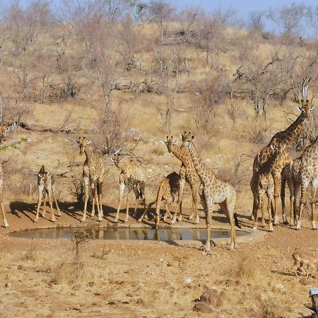 Mbizi Bush Lodge Grietjie Game Reserve Bagian luar foto