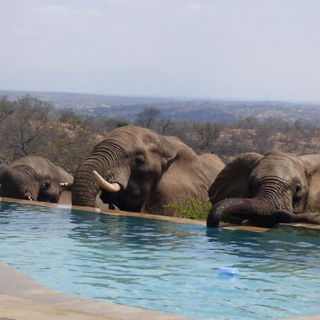 Mbizi Bush Lodge Grietjie Game Reserve Bagian luar foto