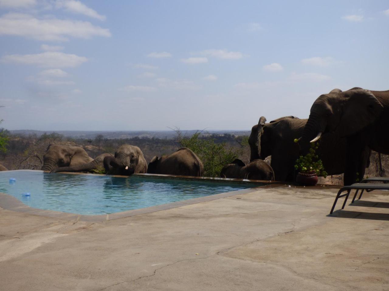 Mbizi Bush Lodge Grietjie Game Reserve Bagian luar foto