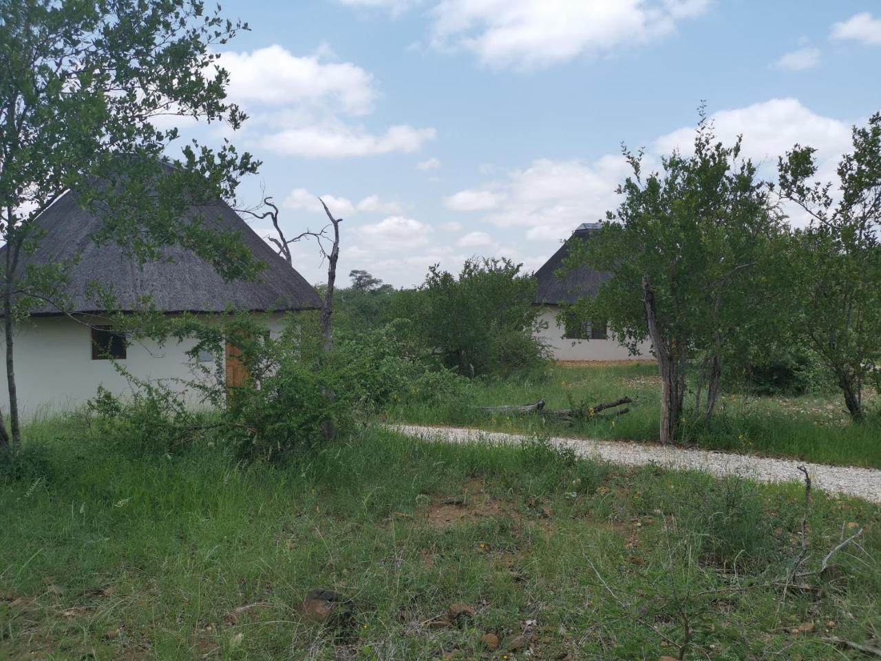 Mbizi Bush Lodge Grietjie Game Reserve Bagian luar foto