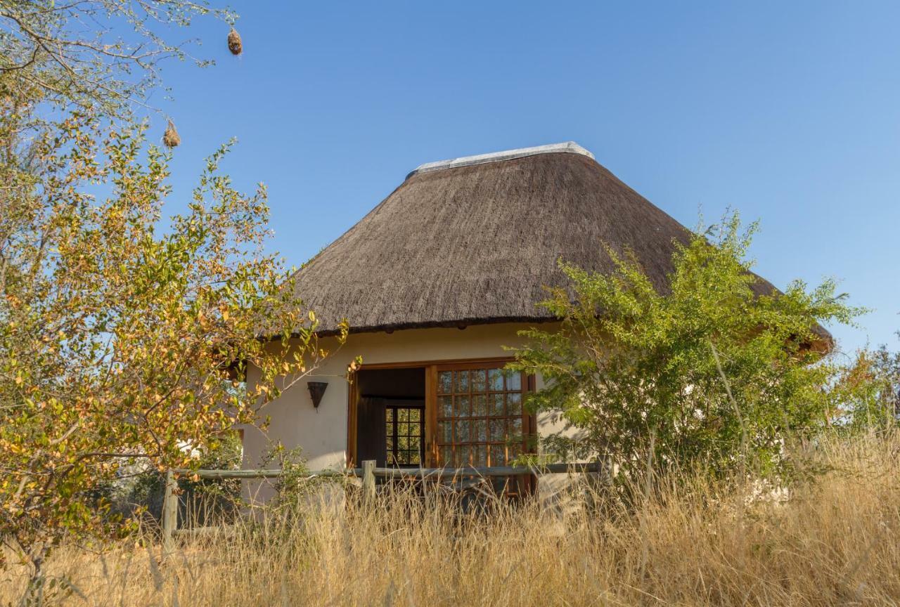 Mbizi Bush Lodge Grietjie Game Reserve Bagian luar foto