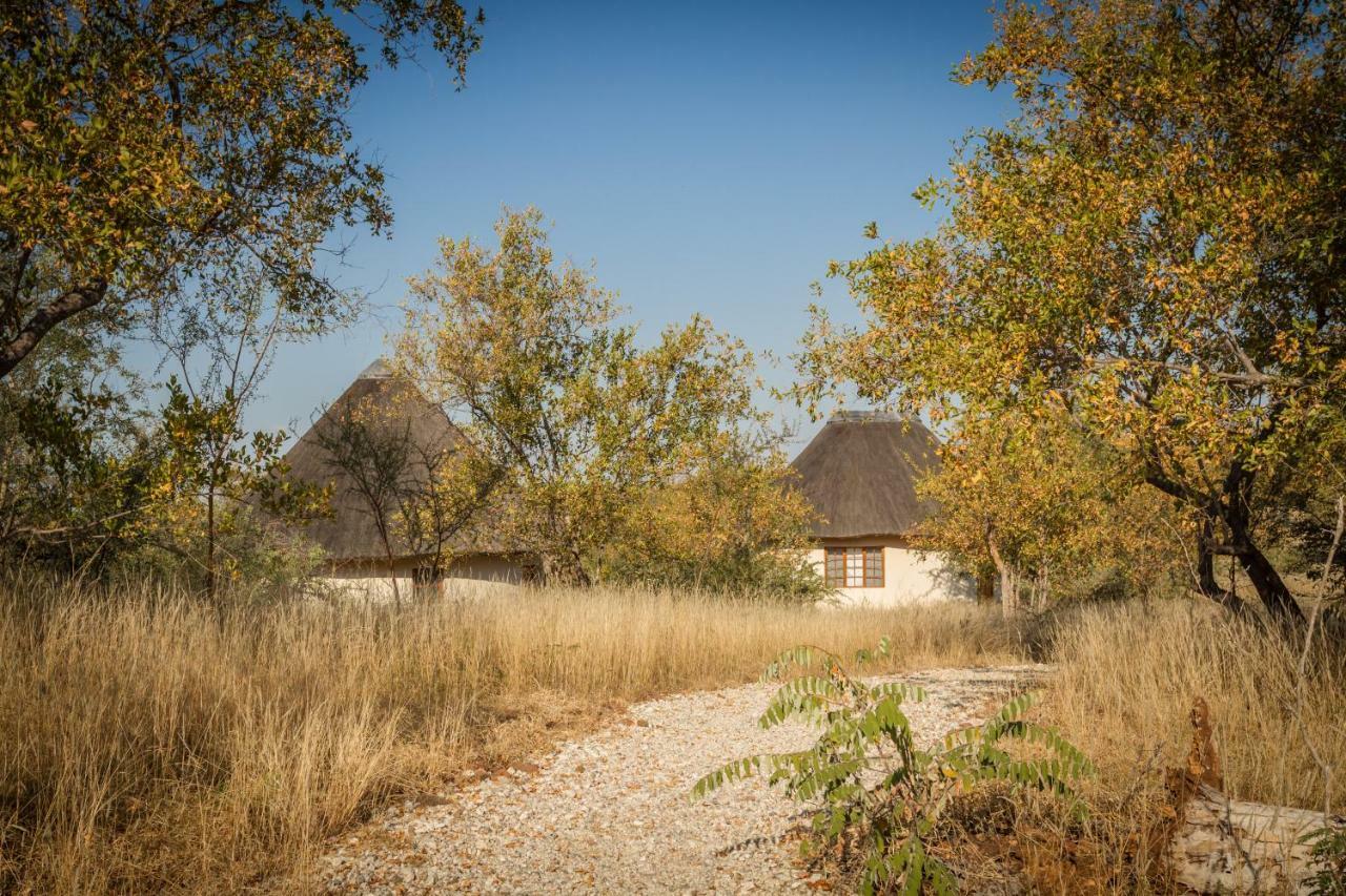 Mbizi Bush Lodge Grietjie Game Reserve Bagian luar foto