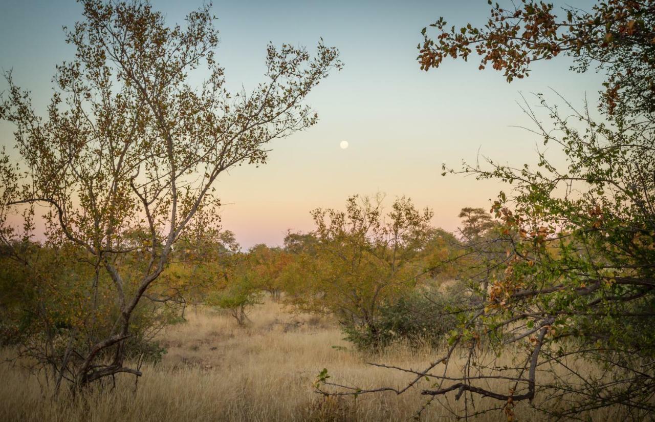 Mbizi Bush Lodge Grietjie Game Reserve Bagian luar foto
